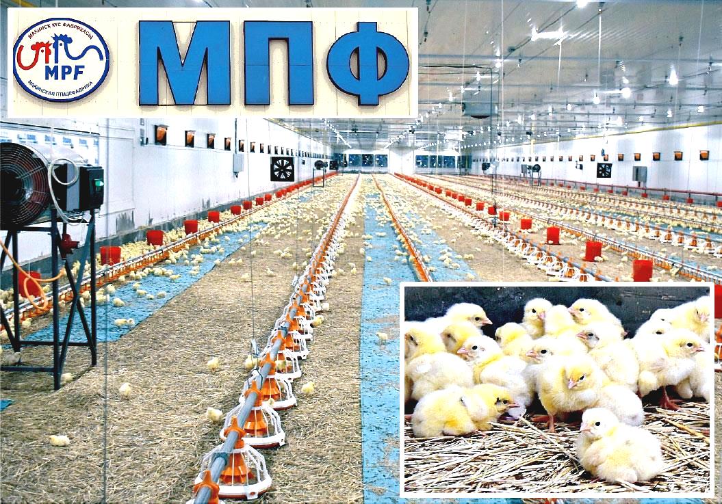 Монтаж потолочных сэндвич-панелей Макинская птицефабрика Казахстан