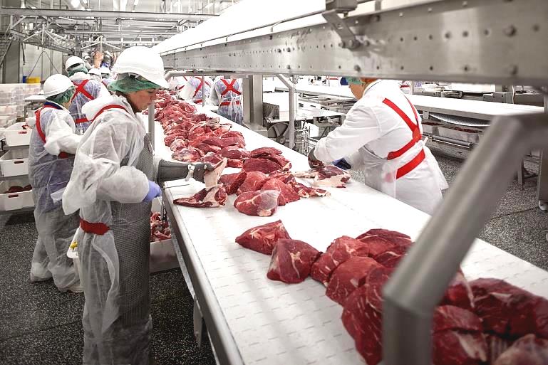 МИРАТОРГ потолок сендвич панели