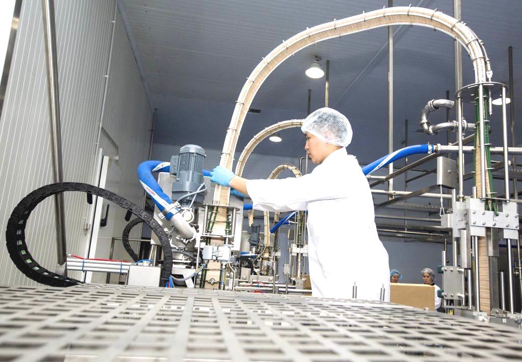 Монтаж потолочных сэндвич-панелей Молочный завод ТОО Шин-лайн Казахстан